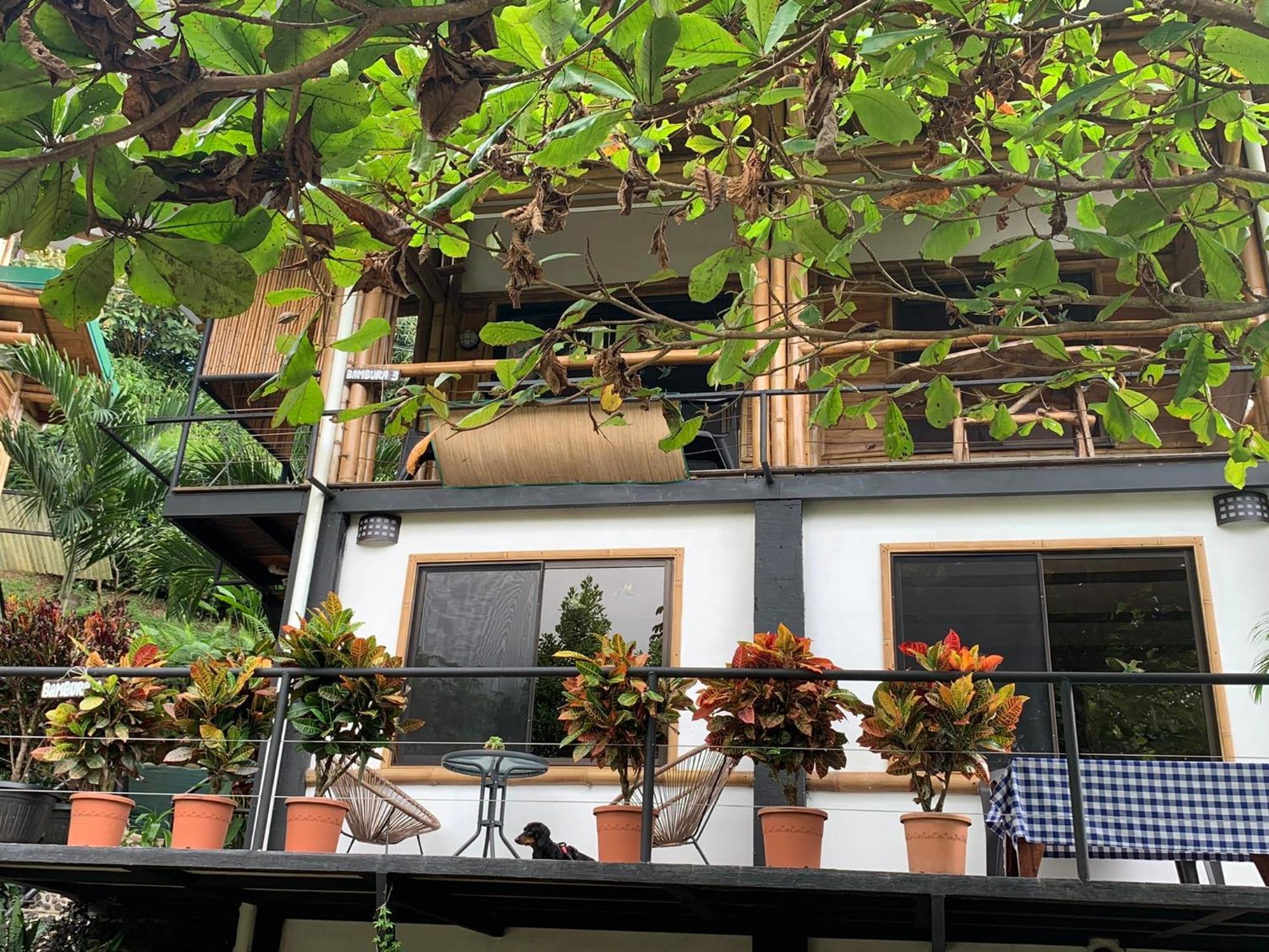 Bambura Hermosa Villas Uvita Eksteriør bilde