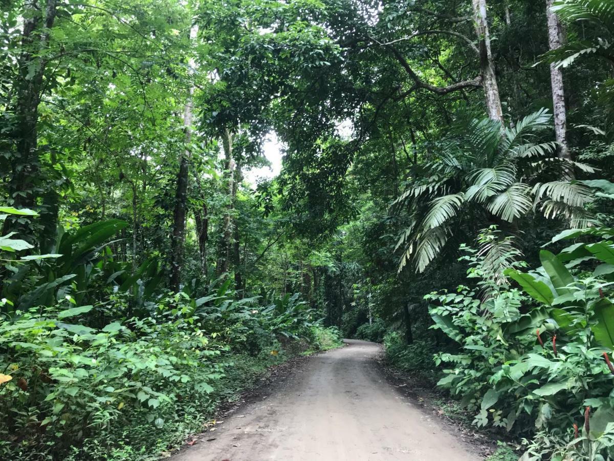 Bambura Hermosa Villas Uvita Eksteriør bilde